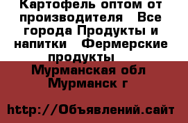 Картофель оптом от производителя - Все города Продукты и напитки » Фермерские продукты   . Мурманская обл.,Мурманск г.